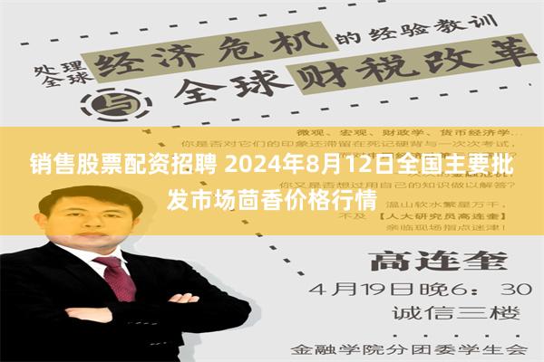 销售股票配资招聘 2024年8月12日全国主要批发市场茴香价格行情