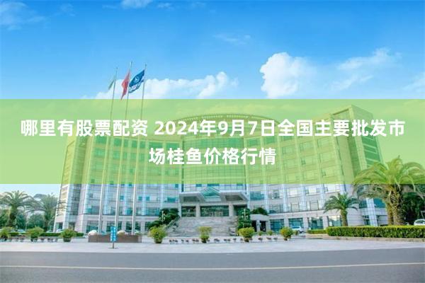 哪里有股票配资 2024年9月7日全国主要批发市场桂鱼价格行情