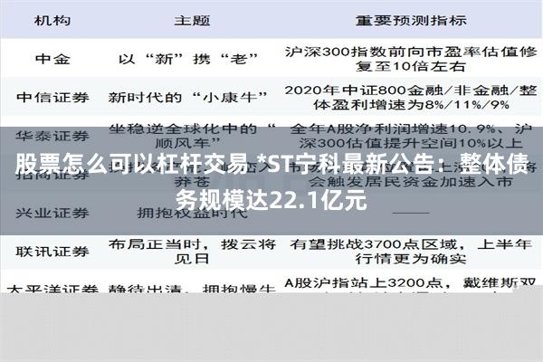 股票怎么可以杠杆交易 *ST宁科最新公告：整体债务规模达22.1亿元