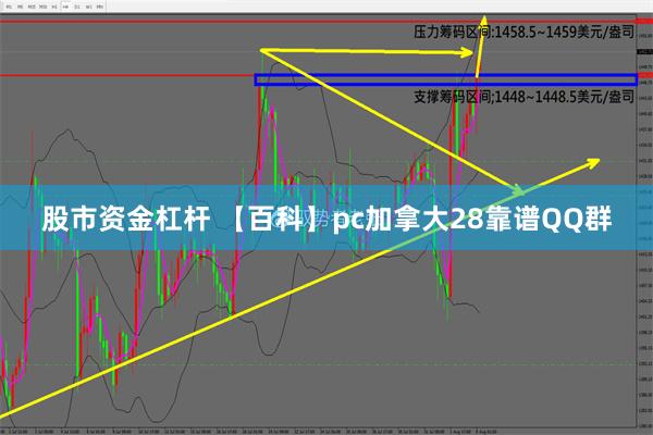 股市资金杠杆 【百科】pc加拿大28靠谱QQ群