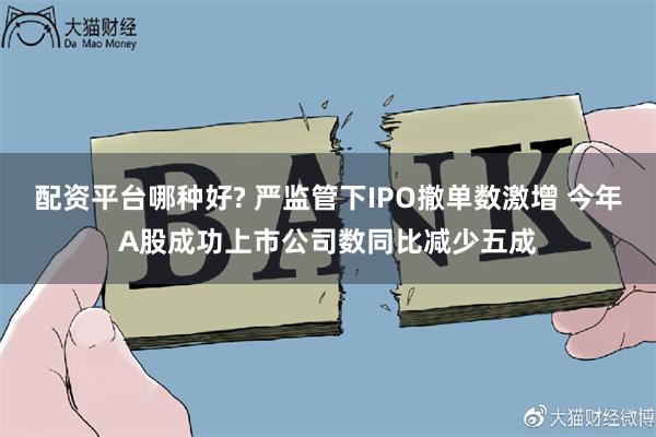 配资平台哪种好? 严监管下IPO撤单数激增 今年A股成功上市公司数同比减少五成