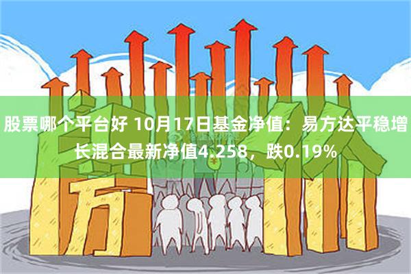 股票哪个平台好 10月17日基金净值：易方达平稳增长混合最新净值4.258，跌0.19%