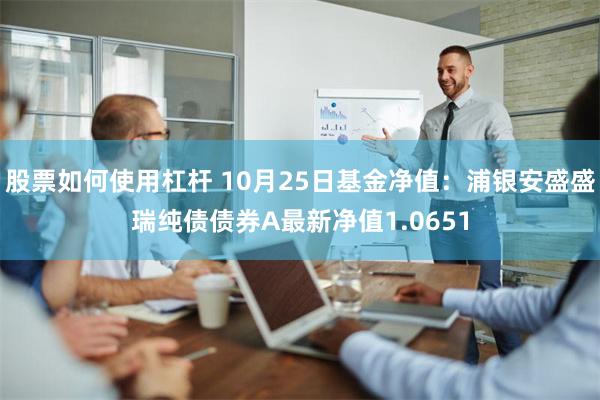 股票如何使用杠杆 10月25日基金净值：浦银安盛盛瑞纯债债券A最新净值1.0651