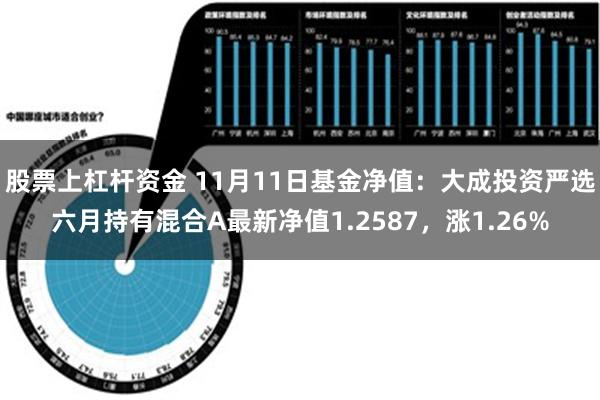 股票上杠杆资金 11月11日基金净值：大成投资严选六月持有混合A最新净值1.2587，涨1.26%