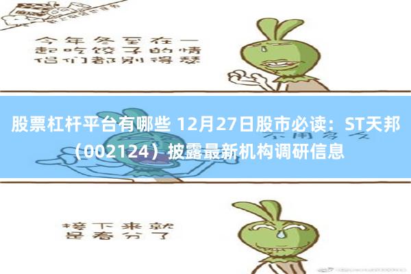 股票杠杆平台有哪些 12月27日股市必读：ST天邦（002124）披露最新机构调研信息