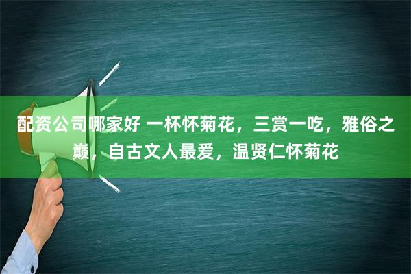 配资公司哪家好 一杯怀菊花，三赏一吃，雅俗之巅，自古文人最爱，温贤仁怀菊花