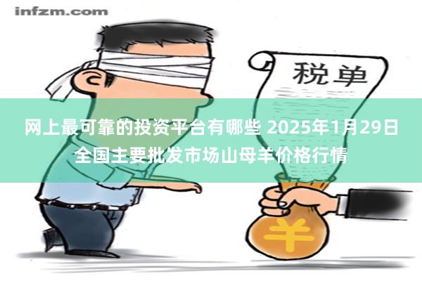 网上最可靠的投资平台有哪些 2025年1月29日全国主要批发市场山母羊价格行情