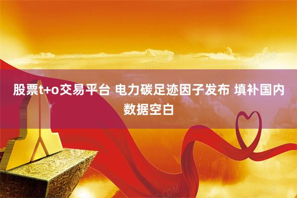 股票t+o交易平台 电力碳足迹因子发布 填补国内数据空白