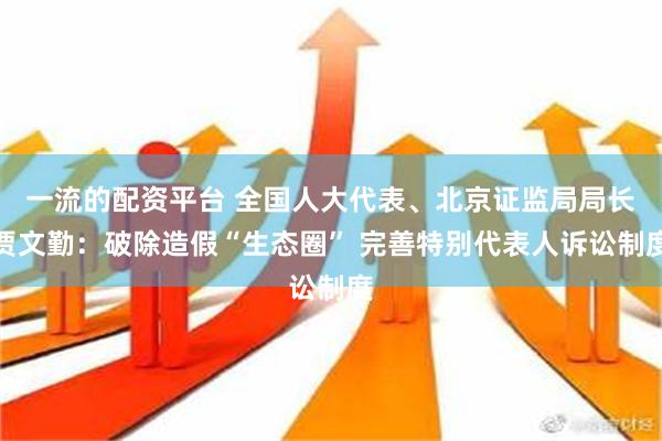 一流的配资平台 全国人大代表、北京证监局局长贾文勤：破除造假“生态圈” 完善特别代表人诉讼制度