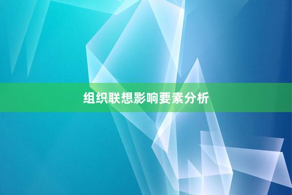 组织联想影响要素分析
