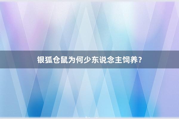 银狐仓鼠为何少东说念主饲养？