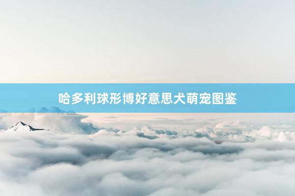 哈多利球形博好意思犬萌宠图鉴