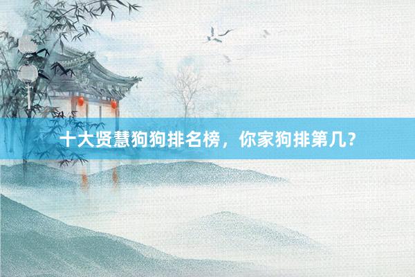 十大贤慧狗狗排名榜，你家狗排第几？